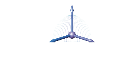 Survey Service